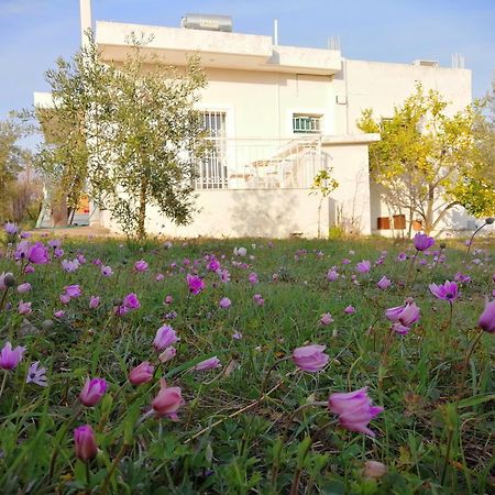 Costasfarmhouse, Pallini, Near Athens Airportアパートメント エクステリア 写真