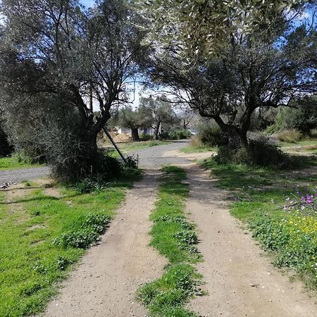 Costasfarmhouse, Pallini, Near Athens Airportアパートメント エクステリア 写真