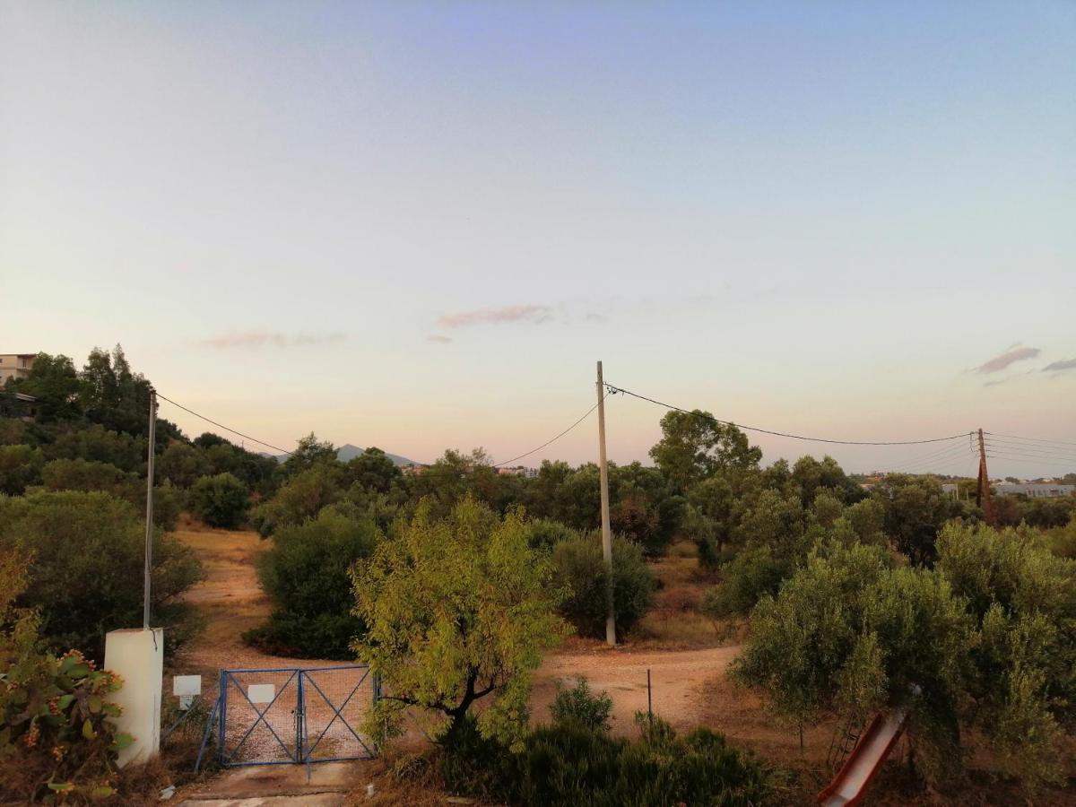 Costasfarmhouse, Pallini, Near Athens Airportアパートメント エクステリア 写真