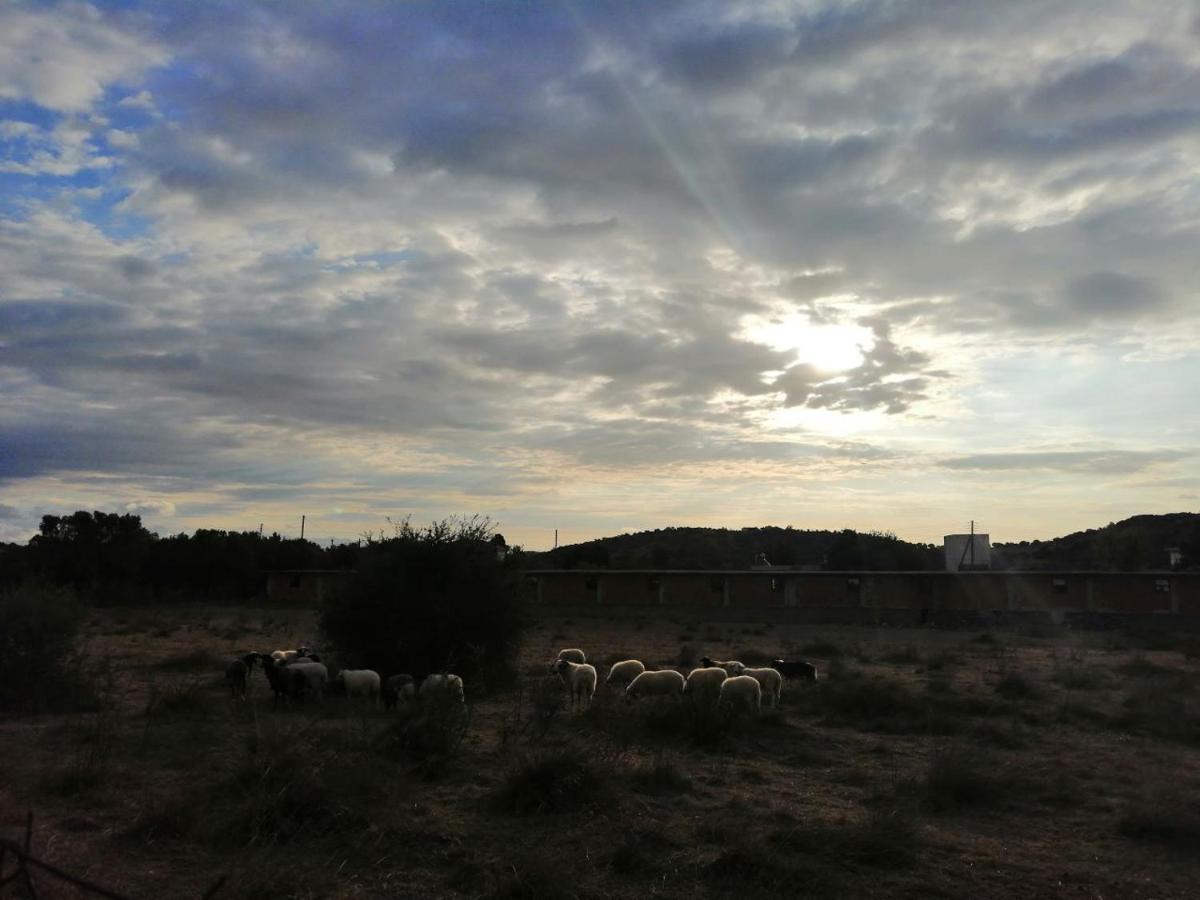 Costasfarmhouse, Pallini, Near Athens Airportアパートメント エクステリア 写真