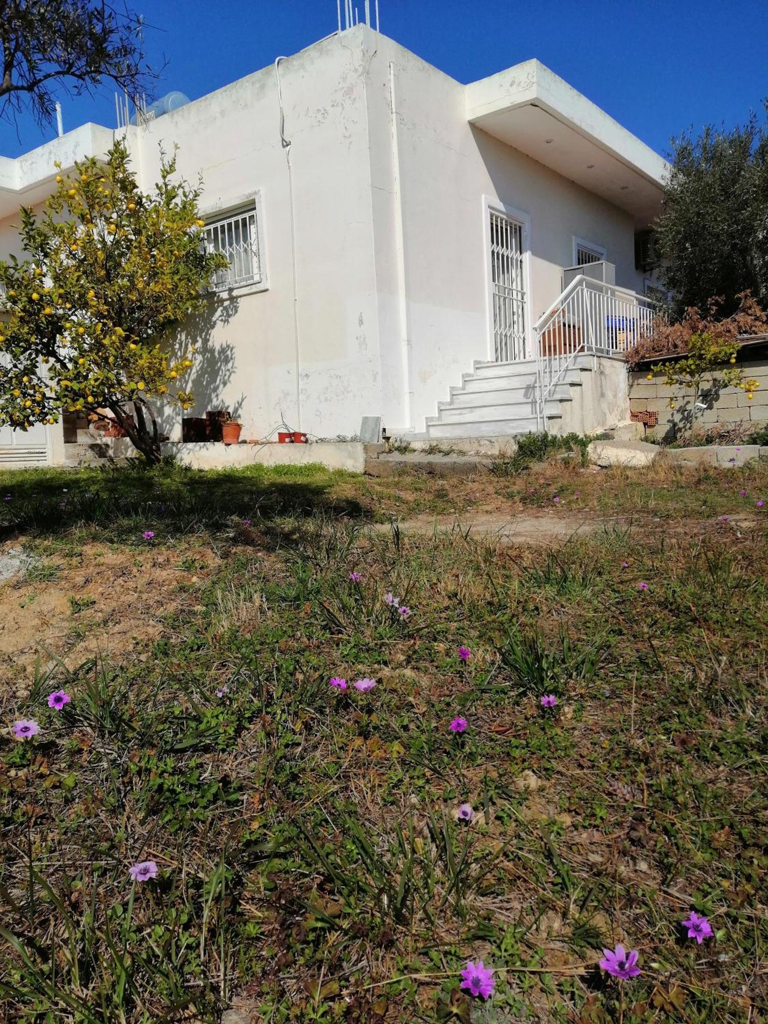 Costasfarmhouse, Pallini, Near Athens Airportアパートメント エクステリア 写真