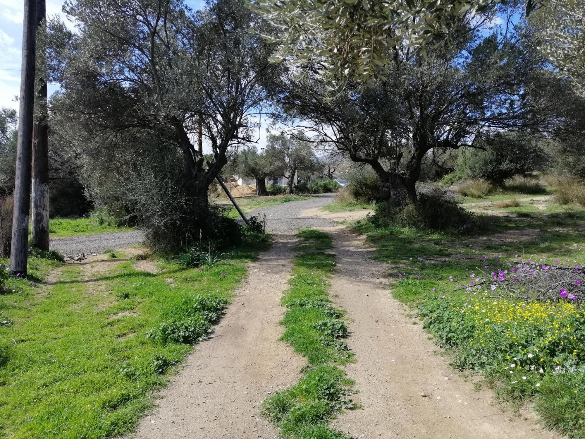 Costasfarmhouse, Pallini, Near Athens Airportアパートメント エクステリア 写真