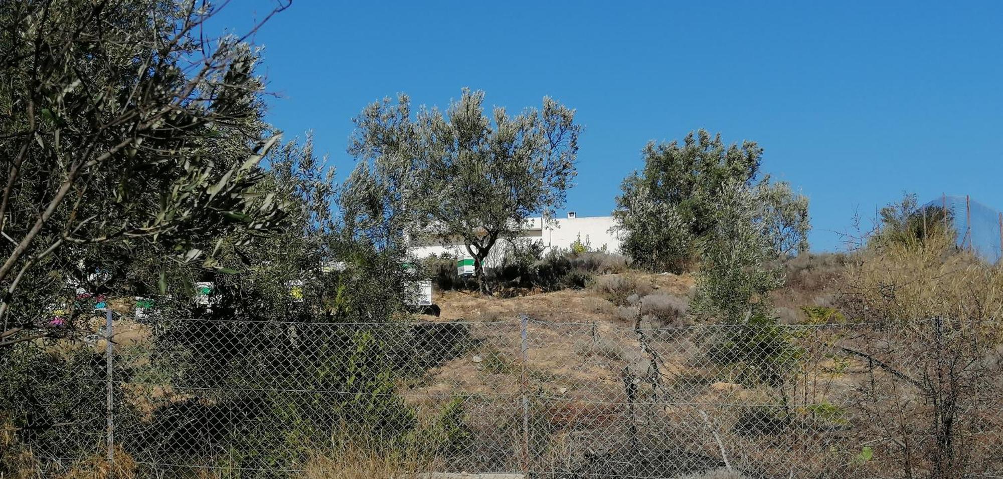 Costasfarmhouse, Pallini, Near Athens Airportアパートメント エクステリア 写真