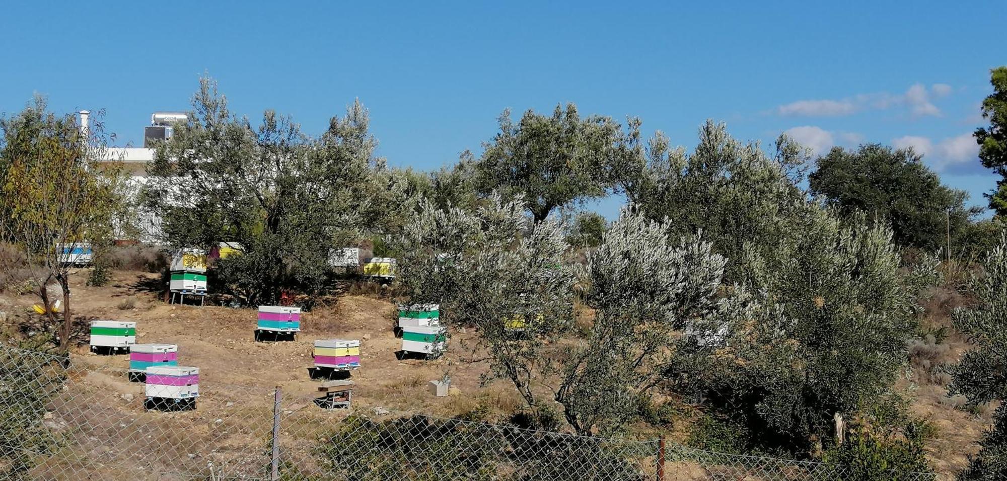 Costasfarmhouse, Pallini, Near Athens Airportアパートメント エクステリア 写真