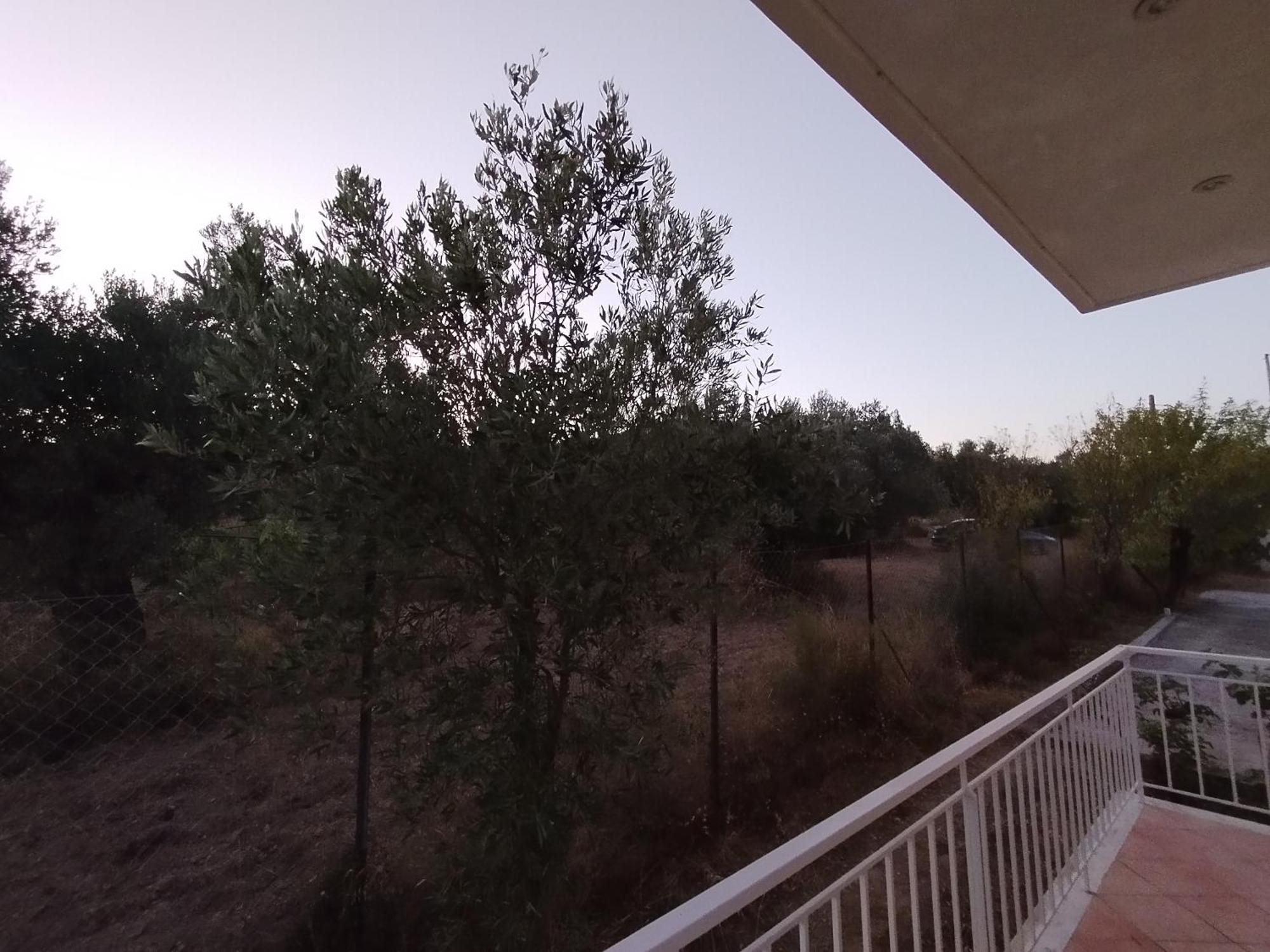 Costasfarmhouse, Pallini, Near Athens Airportアパートメント エクステリア 写真