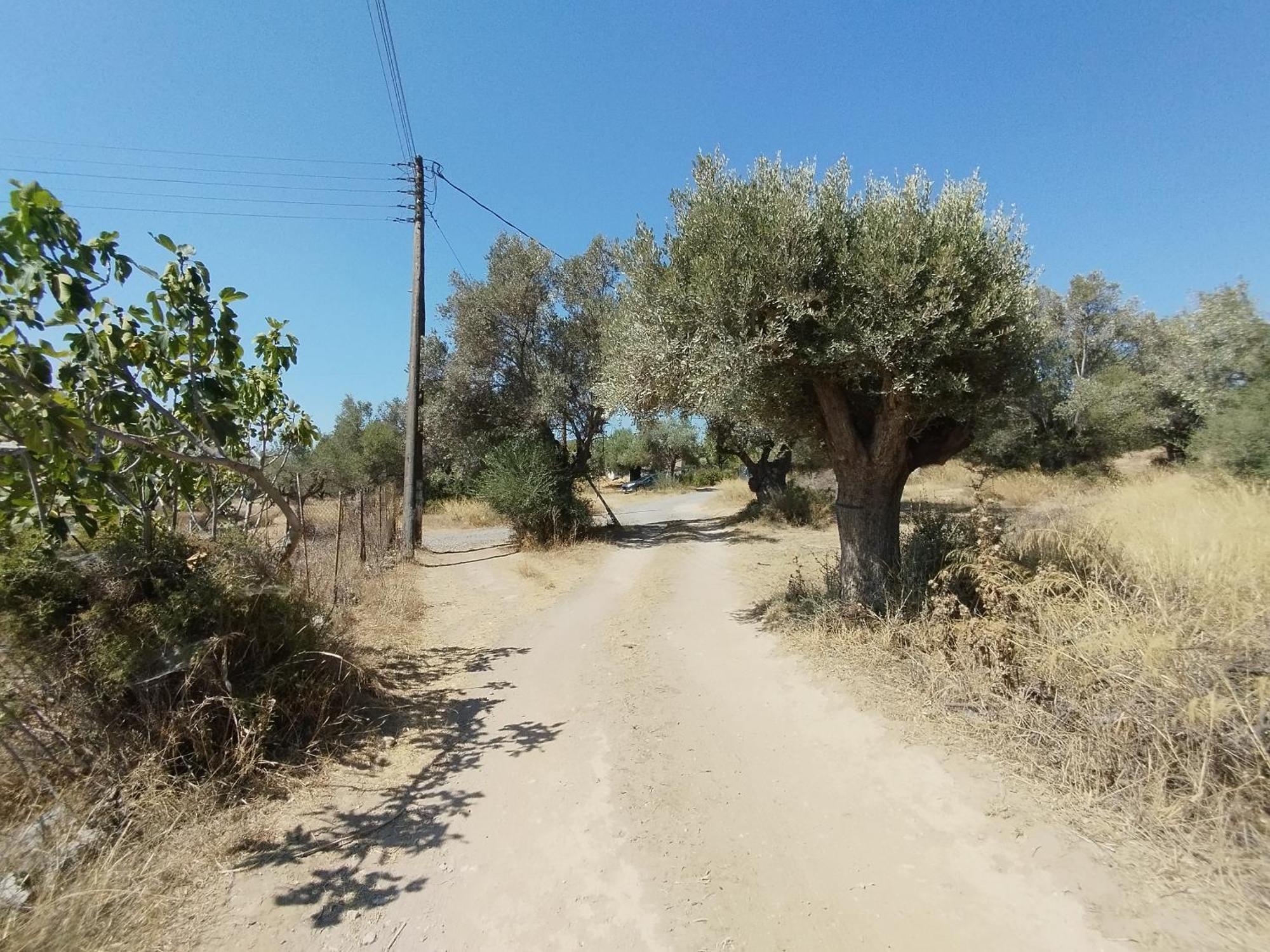 Costasfarmhouse, Pallini, Near Athens Airportアパートメント エクステリア 写真