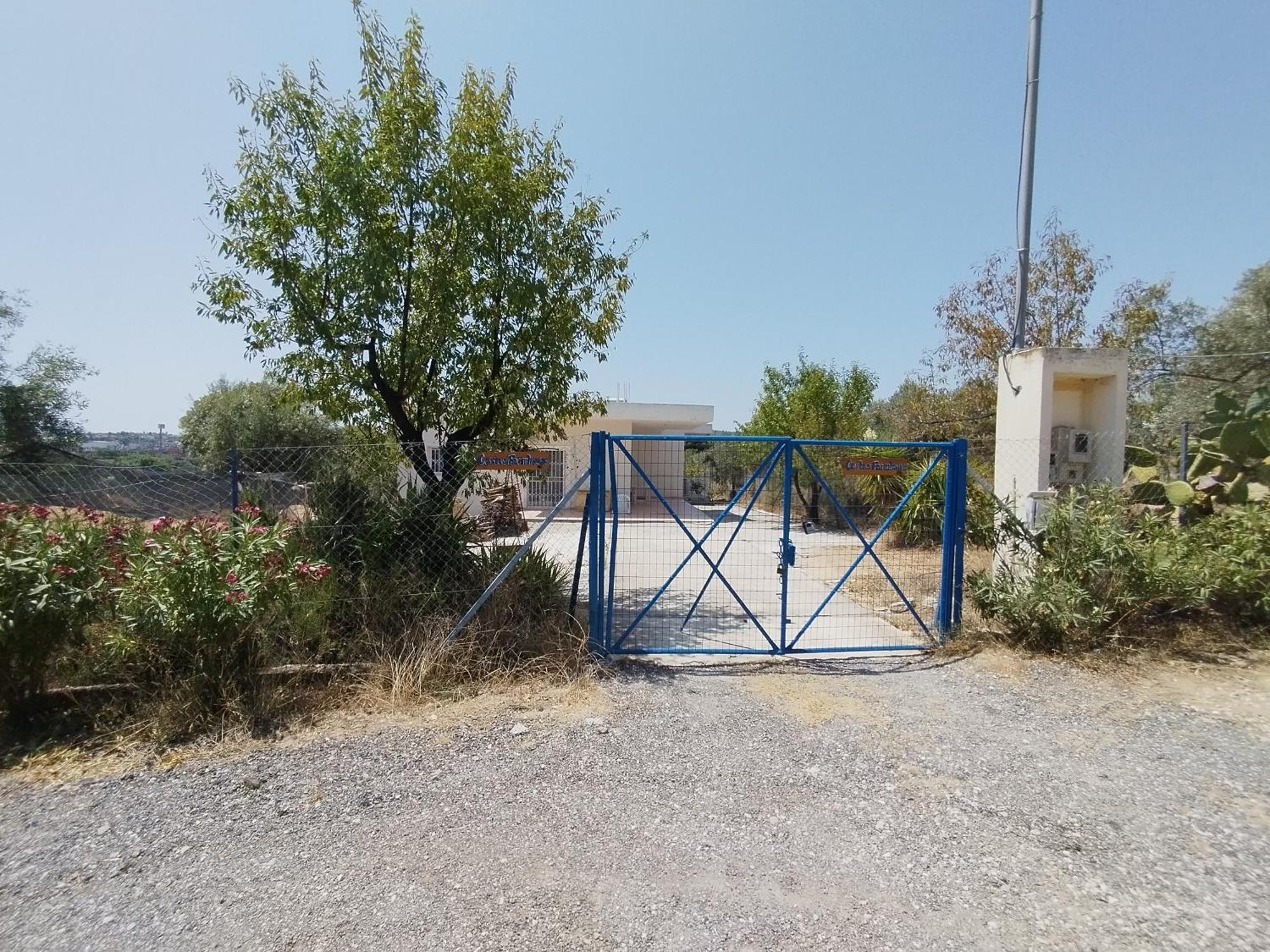 Costasfarmhouse, Pallini, Near Athens Airportアパートメント エクステリア 写真