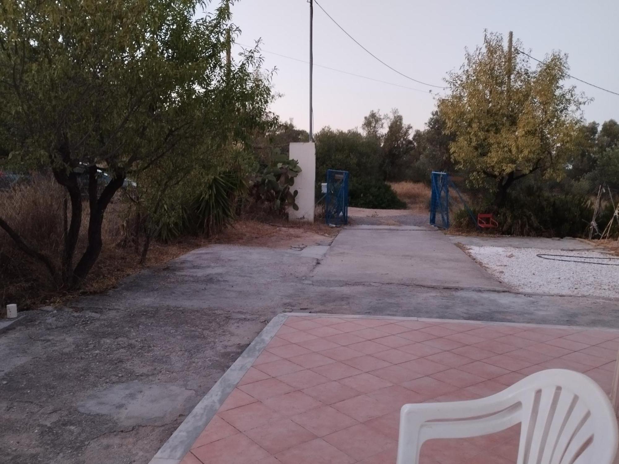 Costasfarmhouse, Pallini, Near Athens Airportアパートメント エクステリア 写真